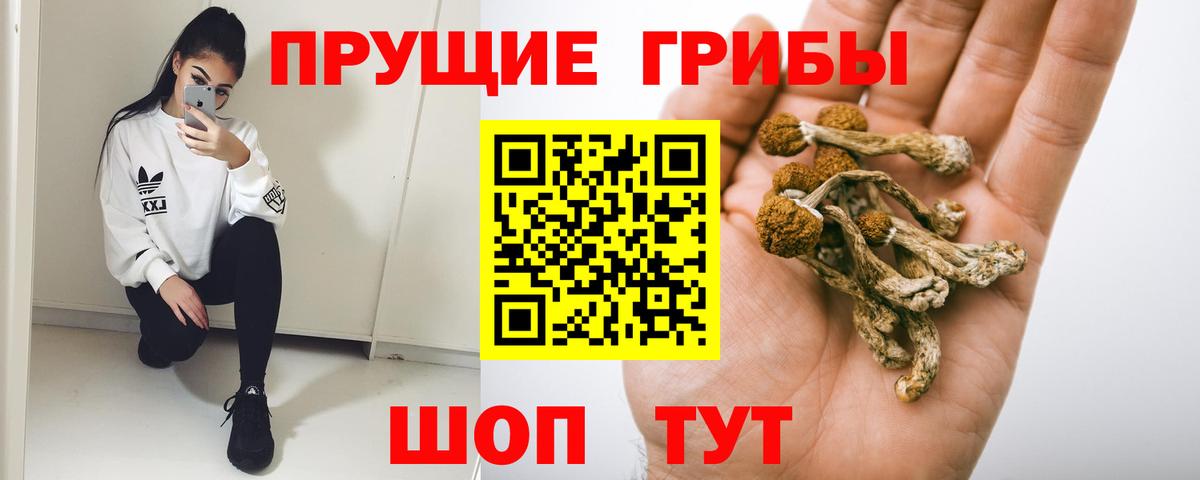 Галлюциногенные грибы GOLDEN TEACHER  Галлюциногенные грибы ЛСД  Вход с VPN  Лянтор 